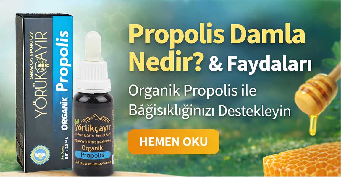 Organik propolis damla
