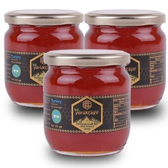 Yörükçayır Organik Polifloralı Bal 3 x 500 Gr